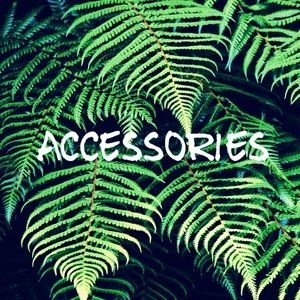 Collection of Women’s Fashion Accessories